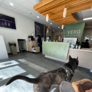VERG emergency veterinary clinic at 196 4th Ave in Park Slope, Brooklyn, offering 24/7 trauma care and diagnostic services for pets in crisis